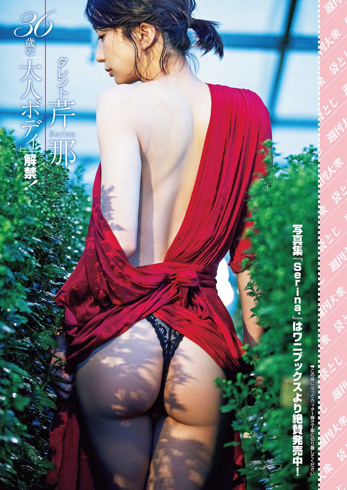 Serina 芹那, Shukan Taishu 2021.11.15 (週刊大衆 2021年11月15日号) P1 No.d08227 Image No.4